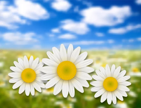Φόντο καλοκαίρι λουλούδια — Διανυσματικό Αρχείο