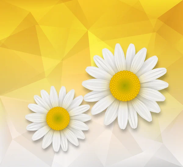 พื้นหลังอักษรด้วยดอกไม้ดอกคาโมไมล์ — ภาพเวกเตอร์สต็อก