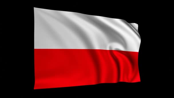 Bandera Polonia Animación Bandera Polonia Ondeando Pantalla Negra Bandera Nacional — Vídeo de stock