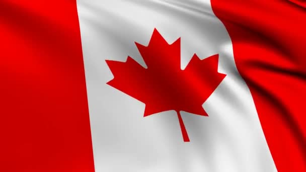 Bandeira Canada Animation Canadian Waving Flag Close National Flag Animation — Vídeo de Stock