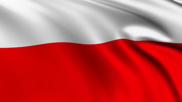 폴란드 애니메이션 폴란드 흔들기 깃발닫기 애니메이션 — 비디오
