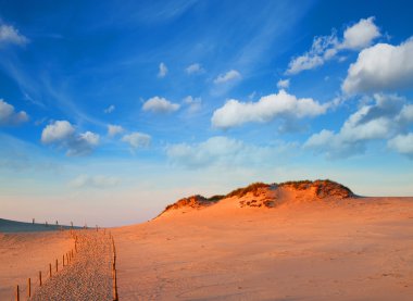 Dunes adlı slowinski Milli Parkı