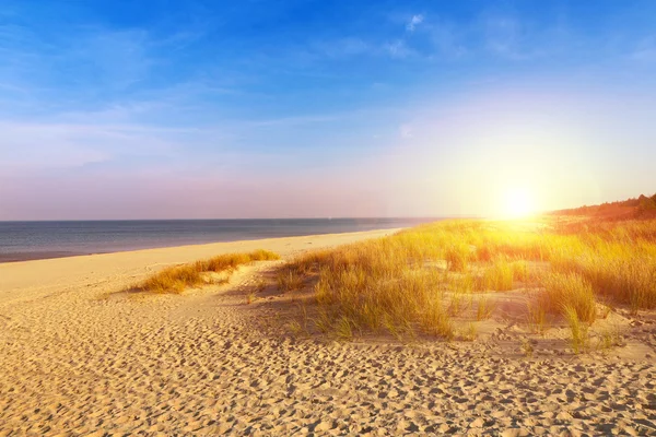 Dunas de areia do mar Báltico — Fotografia de Stock