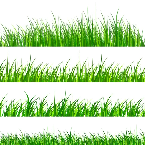 Gräs isolerad — Stock vektor
