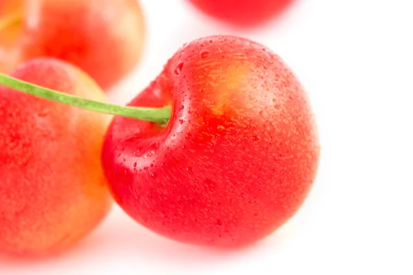 Sweet cherry isolerade — Stockfoto