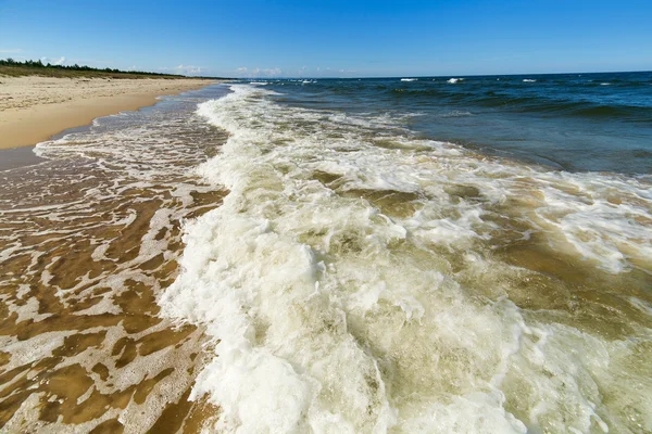 Spiaggia del Mar Baltico — Foto Stock