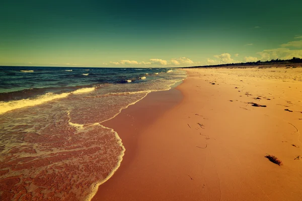 Mer Baltique plage — Photo