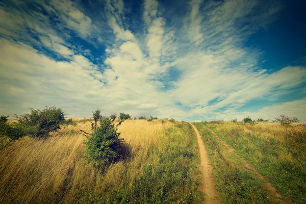 Paisaje rural — Foto de Stock