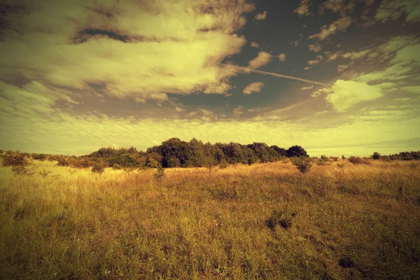 Autumn meadow landscape — Stock Photo, Image