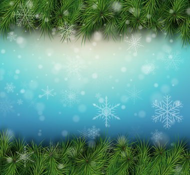 Köknar dallı Noel arkaplanı