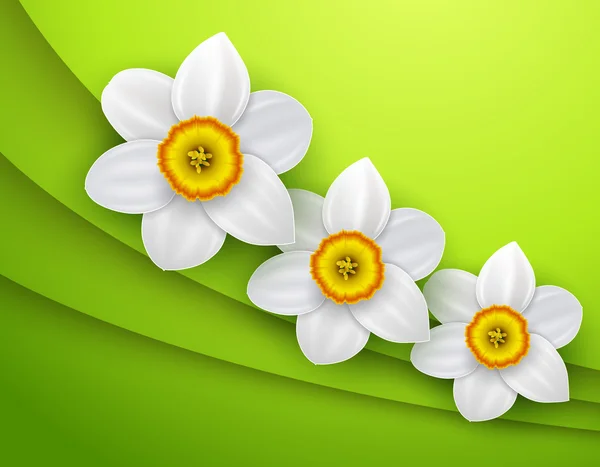 Fundal verde cu flori de primăvară — Vector de stoc