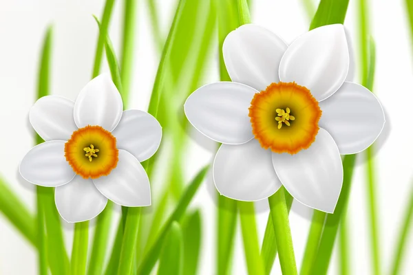 Blumen Frühling Hintergrund, — Stockfoto