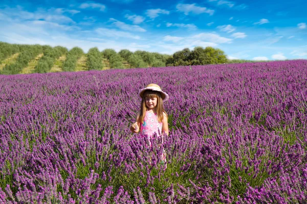 Lächelndes Mädchen beim Blütenschnuppern in einem Lavendelfeld — Stockfoto