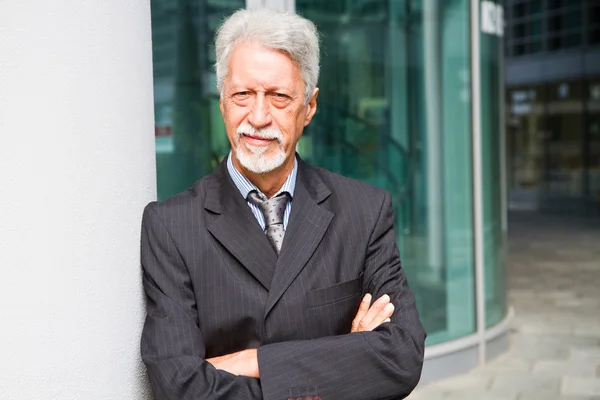 Portrait of senior business man — Stock Photo, Image