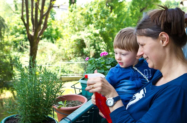 Mother and son gardening plant — Stock Photo, Image