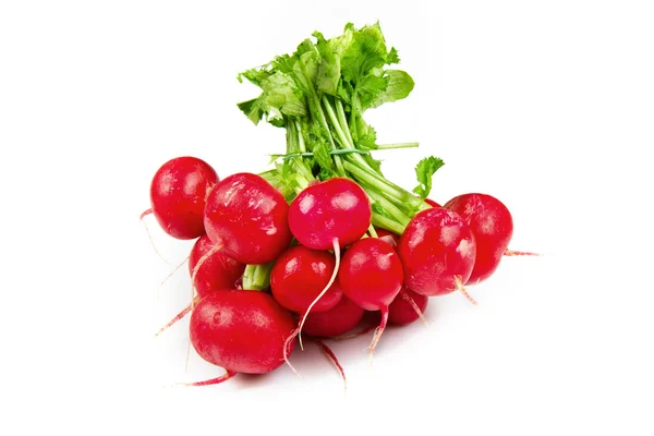 Fresh red radish isolated on white background — Stock Photo, Image