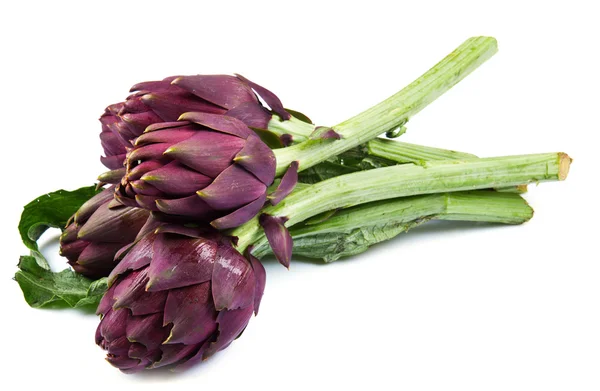 Purple artichokes. Isolated on white background — Stock Photo, Image