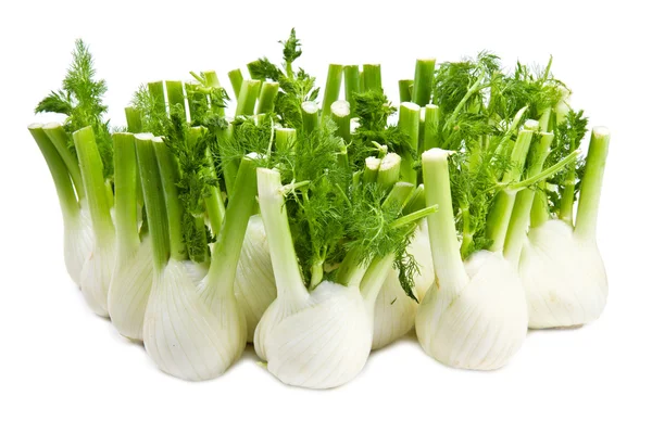 Fennel isolated on white background — Stock Photo, Image