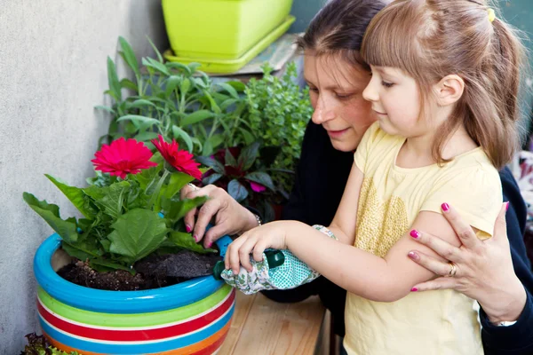 Moeder en kind Tuinieren van de bloem plant — Stockfoto