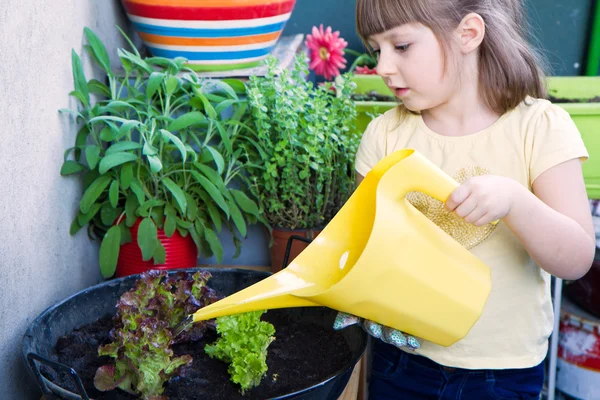 Young girl watering salad smiling — Stock Photo, Image