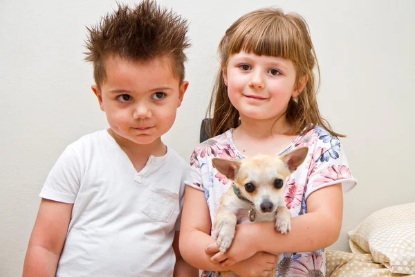 Niños felices con un perro — Foto de Stock