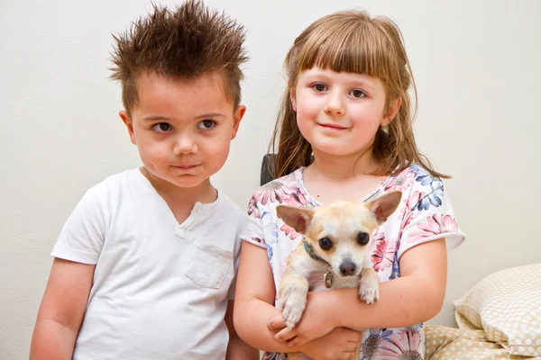 犬との幸せな子供 — ストック写真