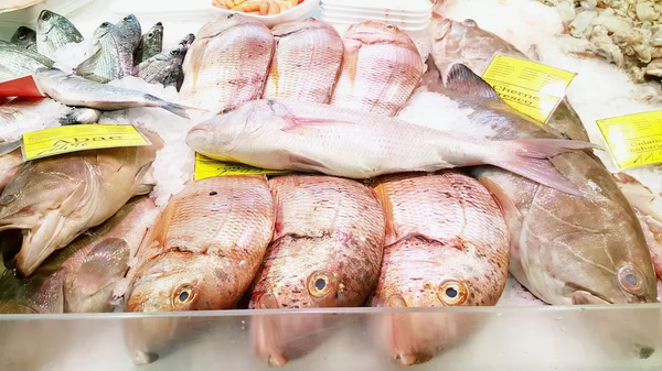 Pescado de mar fresco en un mostrador en el mercado de pescado —  Fotos de Stock