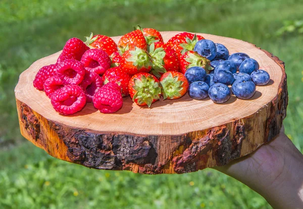 Berries on cutting board with green grass background — Stock Photo, Image