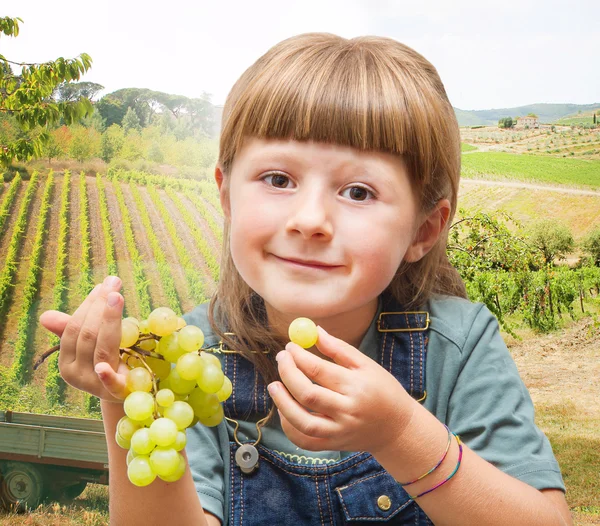 Mädchen isst Weintrauben in den Weinbergen — Stockfoto