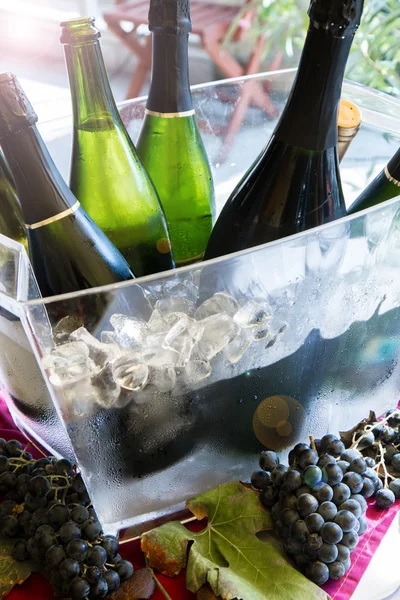 Champagne fles in plastic emmer — Stockfoto