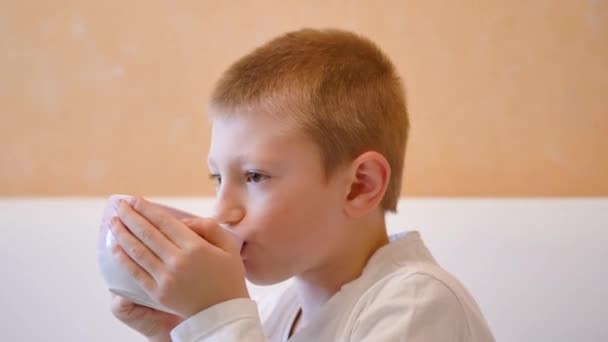 Jeune Enfant Boit Lait Sur Tasse — Video