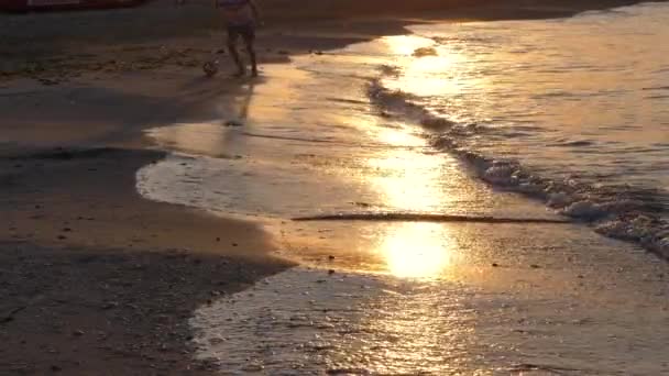 Rapaz Está Jogar Futebol Costa Pôr Sol — Vídeo de Stock