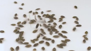 kabak tohumları yukarıdan beyaz arkaplana düşer