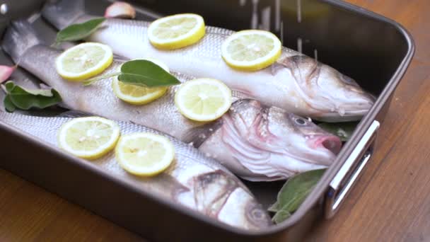 Frischer Wolfsbarsch Zum Kochen Der Pfanne Mit Zitronenscheiben Und Salbei — Stockvideo