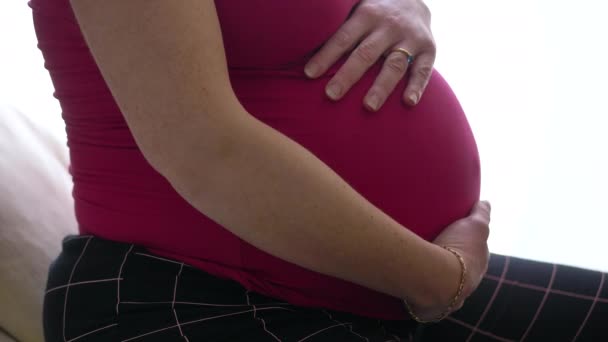 Young Beautiful Pregnant Woman Sit Sofa Home Touching Sweetly Her — Stock Video