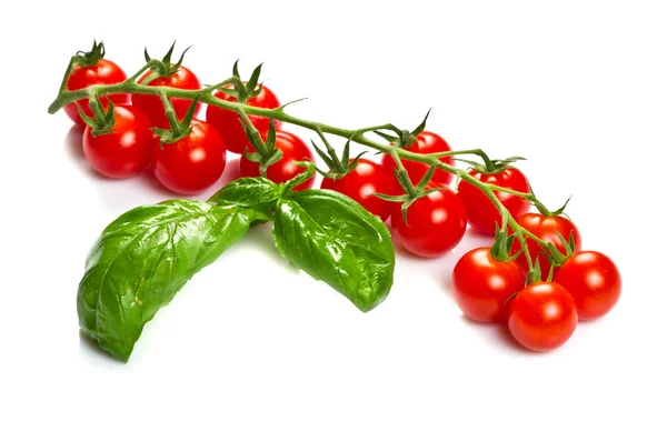Tomatoes and basil isolated on white — Stock Photo, Image