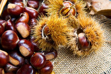 Eski panosunda kestane.