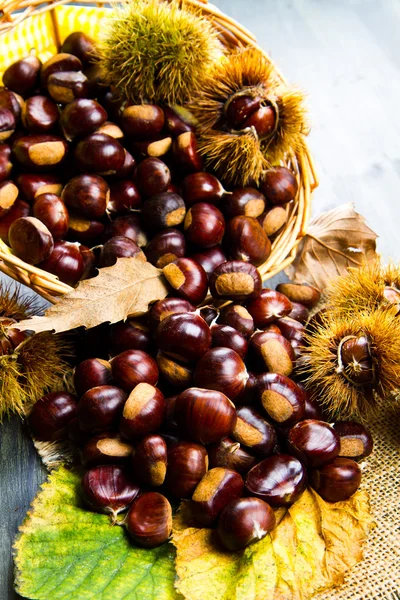 Castanhas — Fotografia de Stock