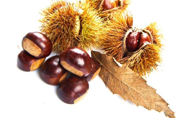 Groups of chestnut nuts on white close up — Stock Photo, Image