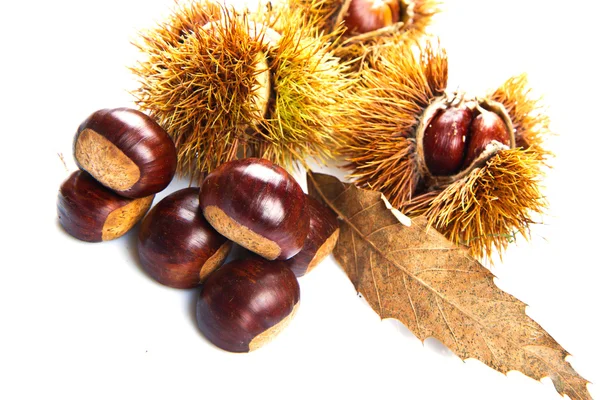 Grupos de castanhas em branco de perto — Fotografia de Stock