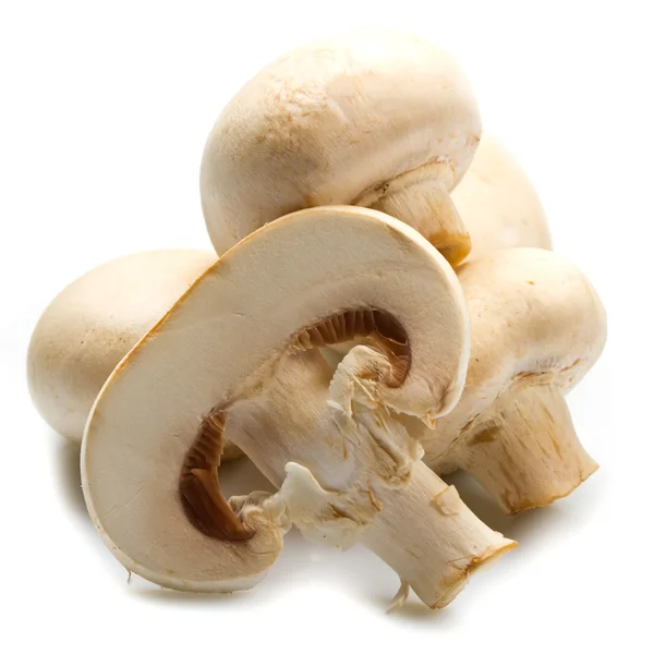 Mushrooms champignon — Stock Photo, Image