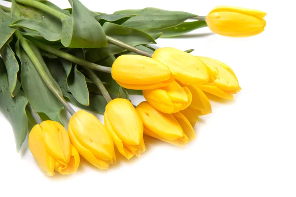 Beautiful bouquet of yellow tulips — Stock Photo, Image
