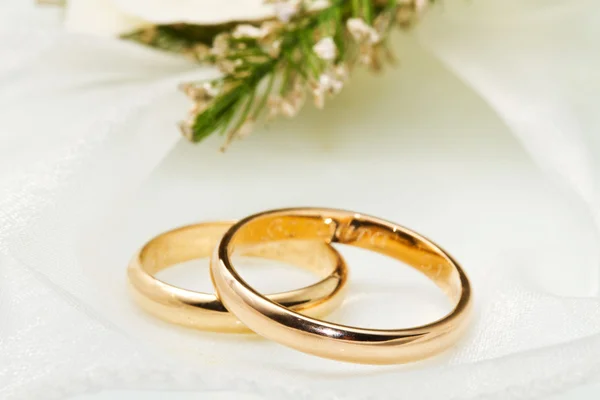 White orchids and wedding rings — Stock Photo, Image