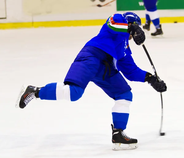 Giocatori di hockey su ghiaccio — Foto Stock