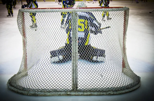 Portero de hockey sobre hielo — Foto de Stock