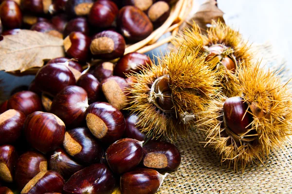 Chestnuts — Stock Photo, Image