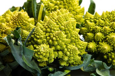 romanesco brokoli lahana