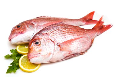 beyaz zemin üzerinde ham porgy