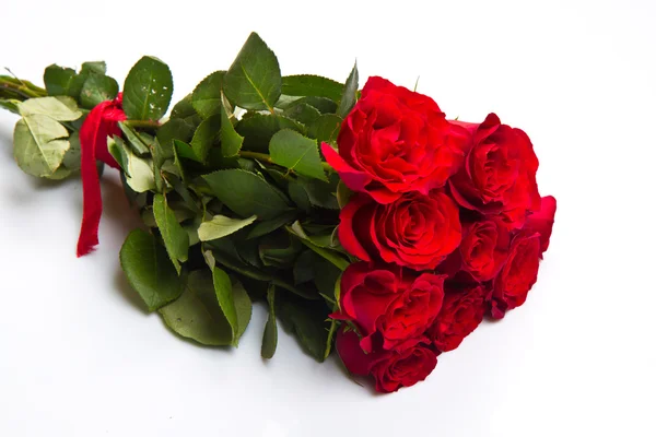 Bouquet of red roses on a white background — Stock Photo, Image