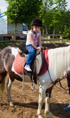 Horse and lovely girl equestrian